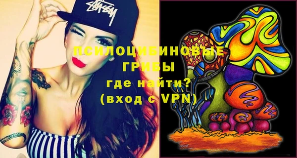 дурь Балахна