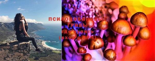 бутират Баксан