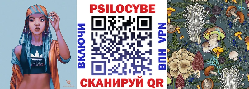 ОМГ ОМГ зеркало  Балтийск  Псилоцибиновые грибы Psilocybine cubensis 